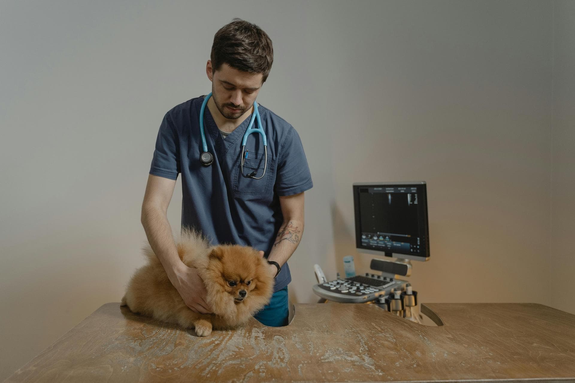 Best Vets in Lexington
